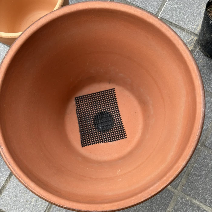8号駄温鉢の底に切ったネットを置きました。
