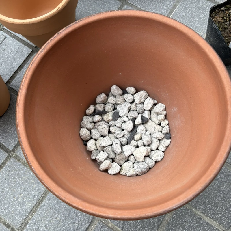 駄温鉢に軽石を置いたところ